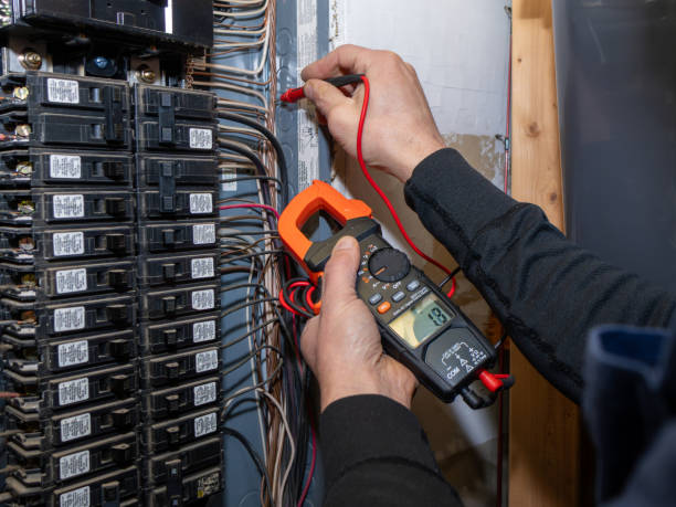 Best Electric Panel Repair  in Triana, AL